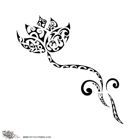 Lotus flower