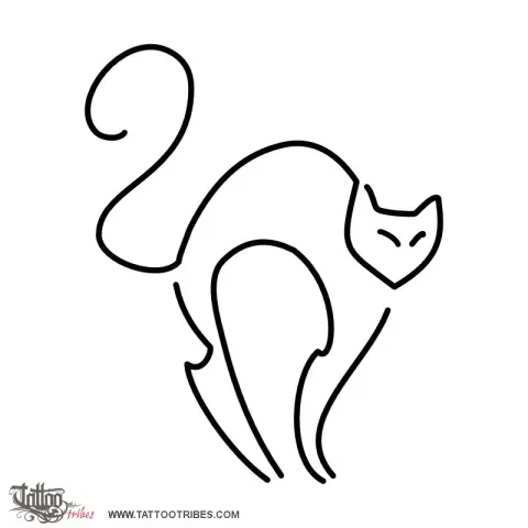 Black cat