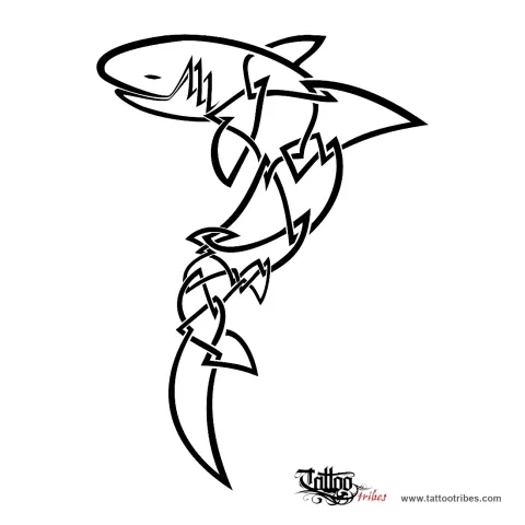 Celtic shark