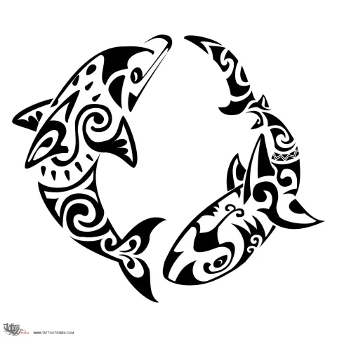 Dolphin and shark