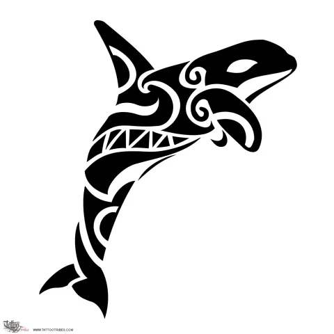 Killer whale