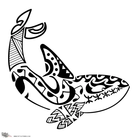Orca
