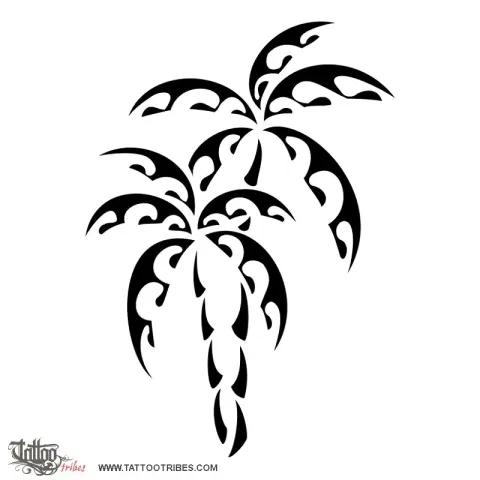 Palm trees
