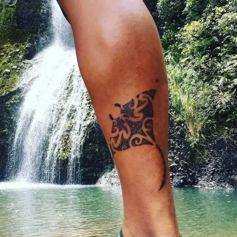 Anderson - Maori manta