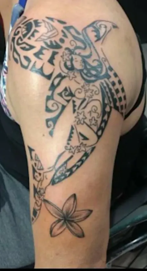 Andrea - composite shark