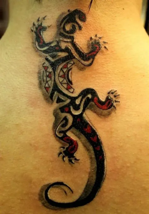 Andrew - lizard