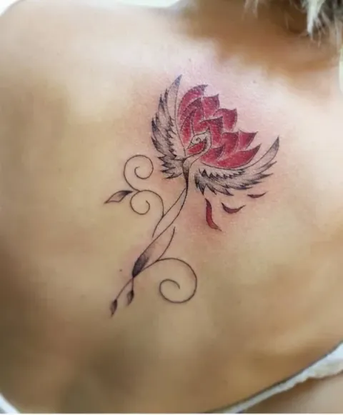 Guest - Phoenix and lotus