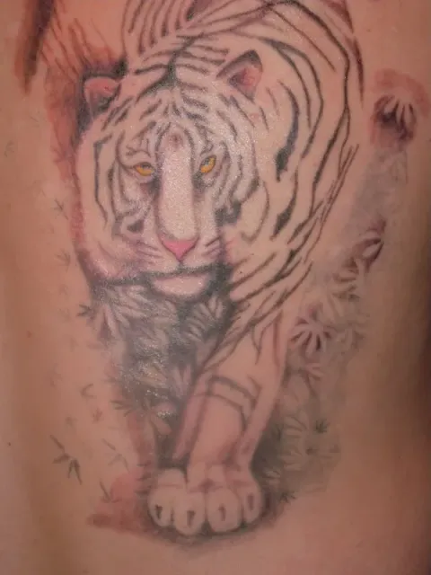 PapaChangoArt - Tiger