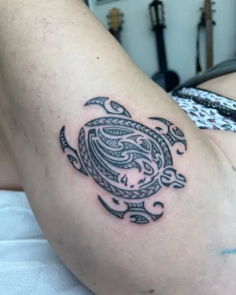 RodMedina - Lion turtle