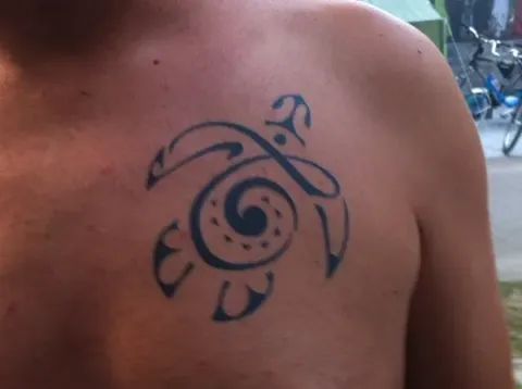 Stefano - T turtle