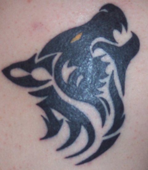 Ezra - Wolf: real inked placement tattoo photo thumbnail