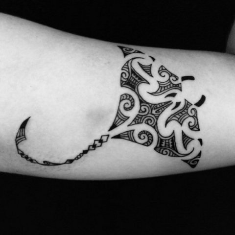 Guest - Maori manta: real inked placement tattoo photo thumbnail
