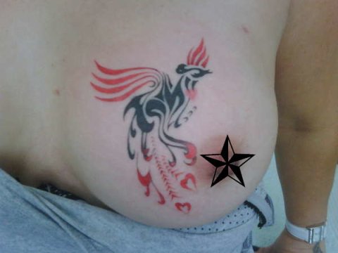 Guest - Tribal phoenix: real inked placement tattoo photo thumbnail
