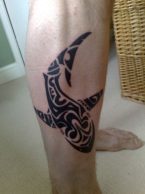 John - Maori shark: real inked placement tattoo photo thumbnail