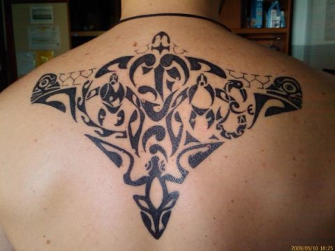 Luciano - Tamariki: real inked placement tattoo photo thumbnail