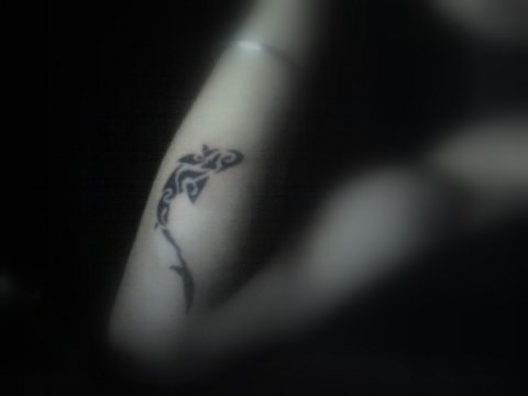 Manhar - Shark: real inked placement tattoo photo thumbnail