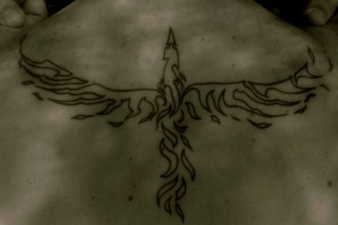 Marco - tribal phoenix: real inked placement tattoo photo thumbnail
