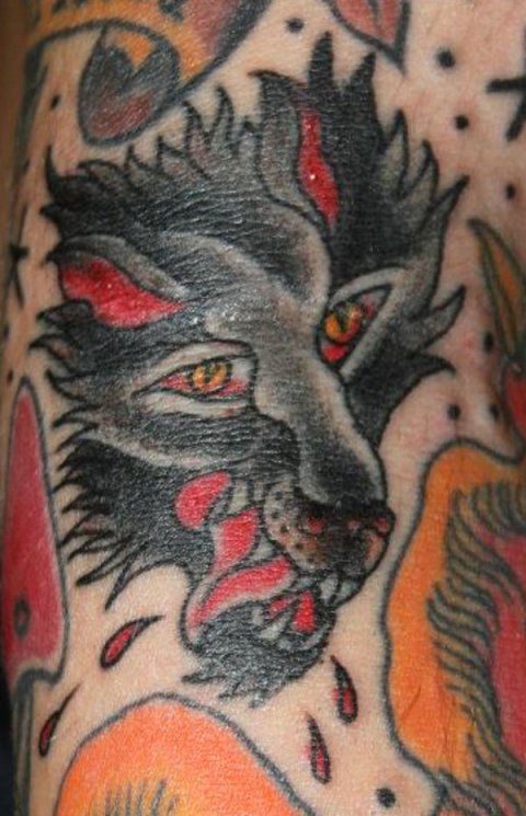 Mattia - Old school wolf: real inked placement tattoo photo thumbnail