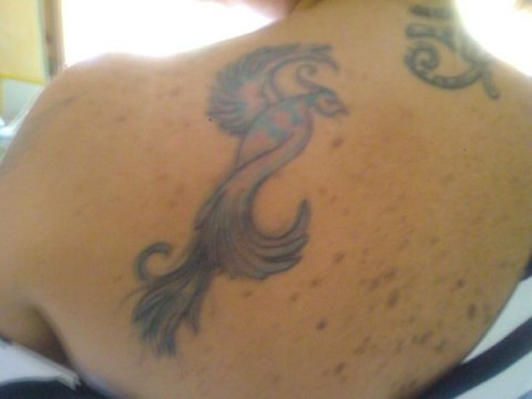 Rosaria - Phoenix: real inked placement tattoo photo thumbnail