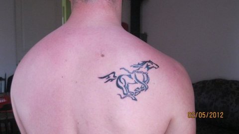 Salvo - Free horse: real inked placement tattoo photo thumbnail