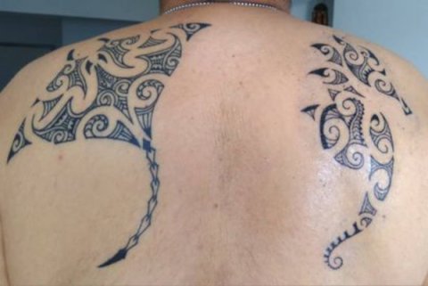 Shahab - Kirituhi seahorse: real inked placement tattoo photo thumbnail