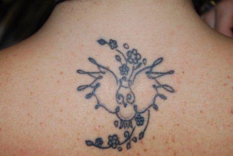 Tiziana - Owl and cherry blossoms: real inked placement tattoo photo thumbnail