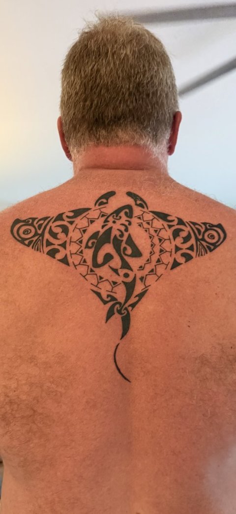 Sean Sheehan - Whakarurutanga: real inked placement tattoo photo thumbnail